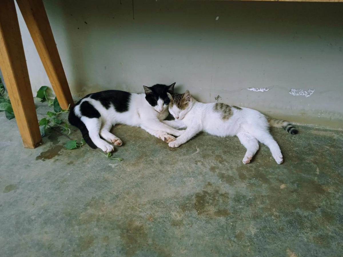 Nhà Komori Bed & Breakfast Đà Lạt Ngoại thất bức ảnh