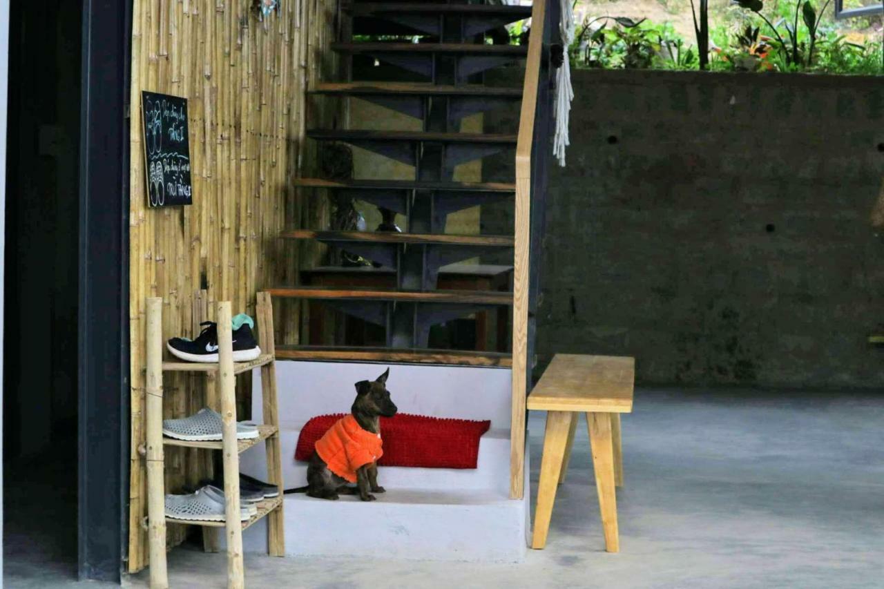 Nhà Komori Bed & Breakfast Đà Lạt Ngoại thất bức ảnh